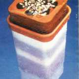 ...e infine il gelato push up �Vip� guarnito di cocco a granella